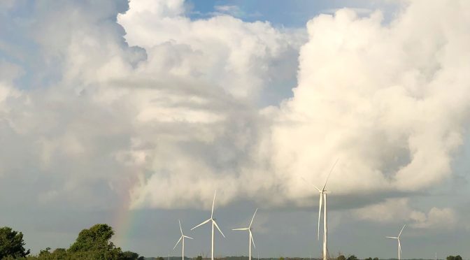 RWE firma dos PPA a 15 años con Microsoft para suministrar energía eólica de dos proyectos eólicos terrestres en Texas con 446 megavatios