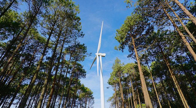 Iberdrola obtiene luz verde para instalar el mayor parque eólico de Portugal