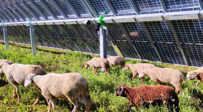 Endesa sigue apostando por la energía fotovoltaica en Andalucía con la construcción de tres plantas solares en la provincia de Sevilla