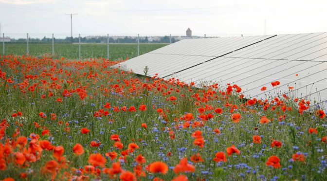 RWE da grandes pasos para ampliar su negocio de fotovoltaica en Polonia