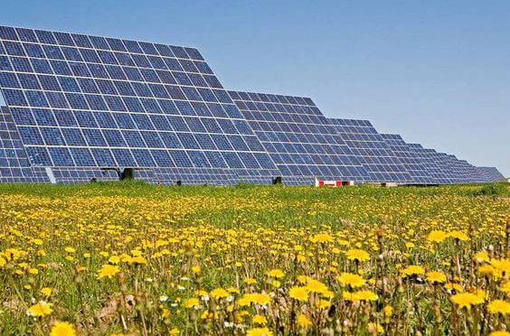 Satisfacción de la fotovoltaica: el número de proyectos aprobados permite avanzar en la línea de consecución del PNIEC