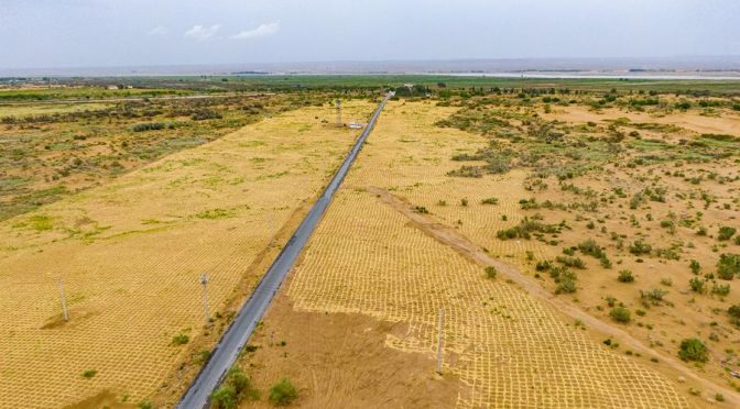 Empresa china construye nueva planta de almacenamiento de energía para aprovechar mejor la energía solar fotovoltaica (PV)