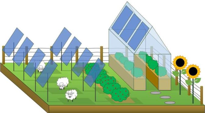 Una nueva investigación arroja luz sobre cómo la energía solar fotovoltaica (PV) y la agricultura pueden coexistir