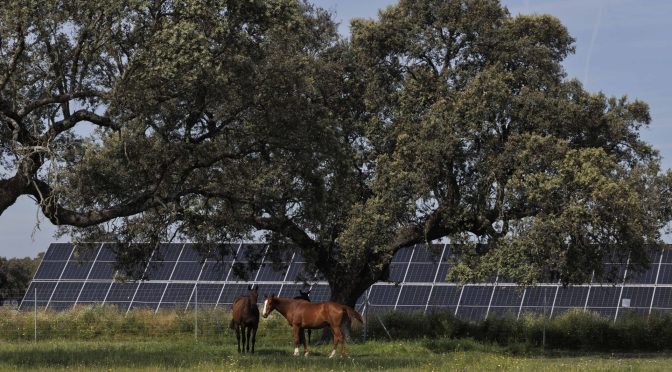 La paradoja fotovoltaica: la que menos ingresos genera pero más rebaja la factura de la luz en España